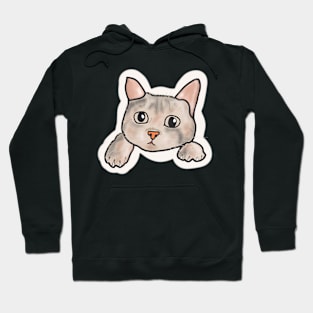 Cute puppy cat Hoodie